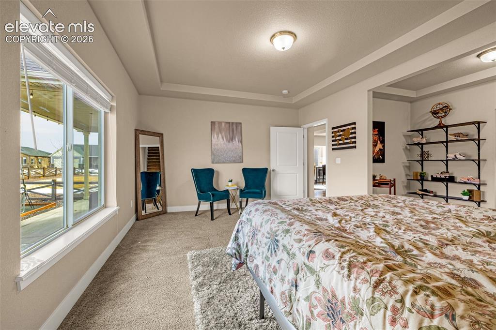 8674 Tranquil Knoll Lane Colorado Springs CO 80927