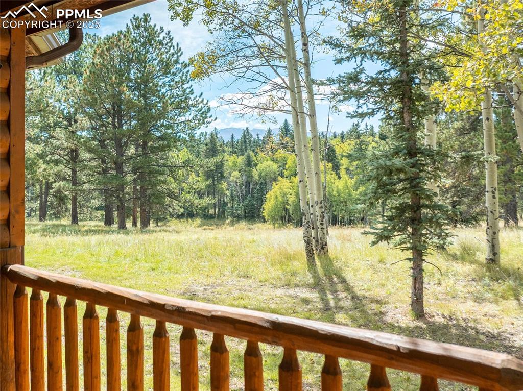 284 County Road 511 Road Divide CO 80814