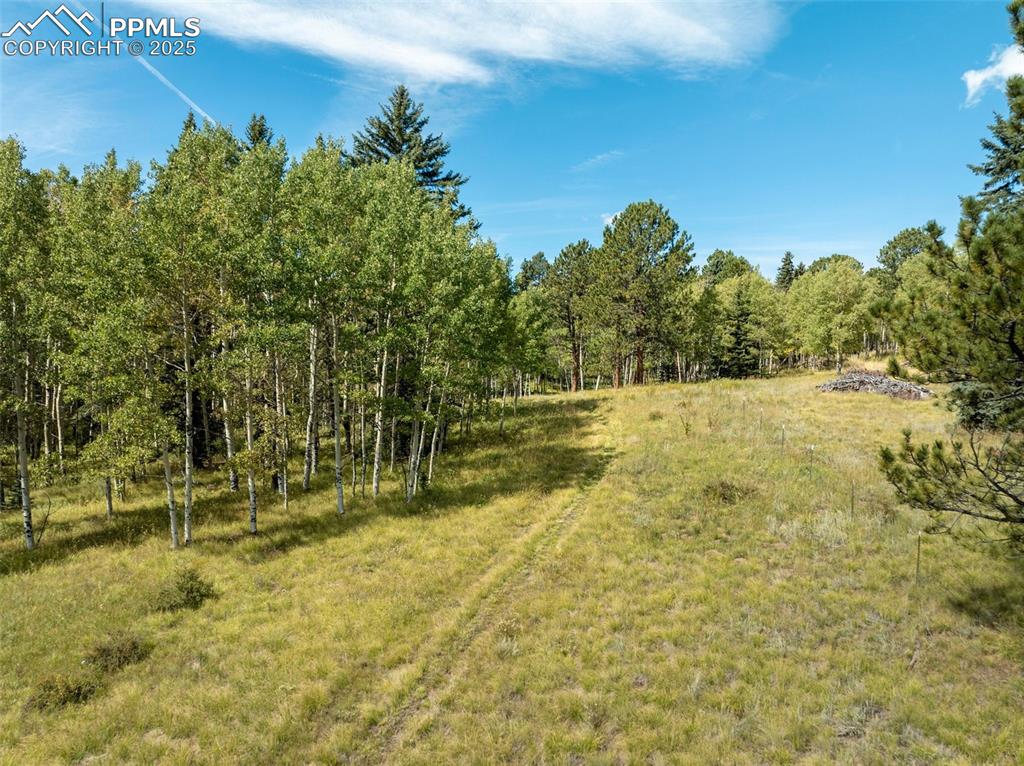 284 County Road 511 Road Divide CO 80814
