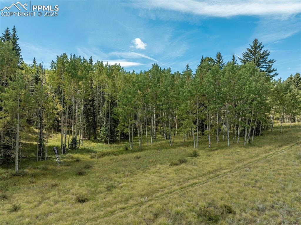 284 County Road 511 Road Divide CO 80814