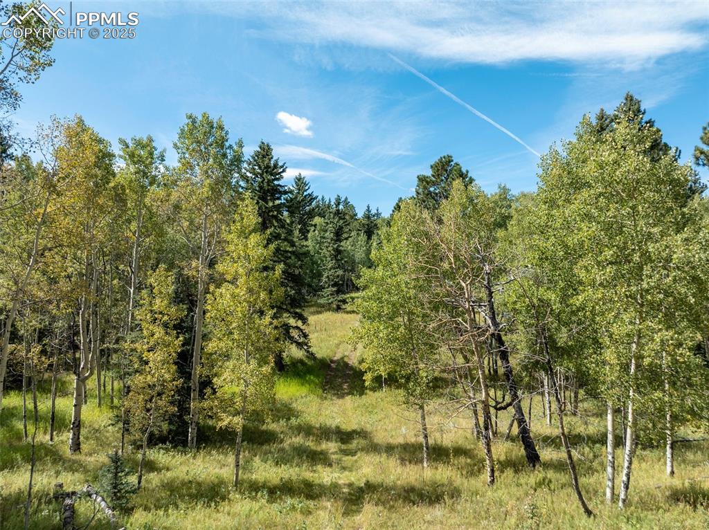284 County Road 511 Road Divide CO 80814