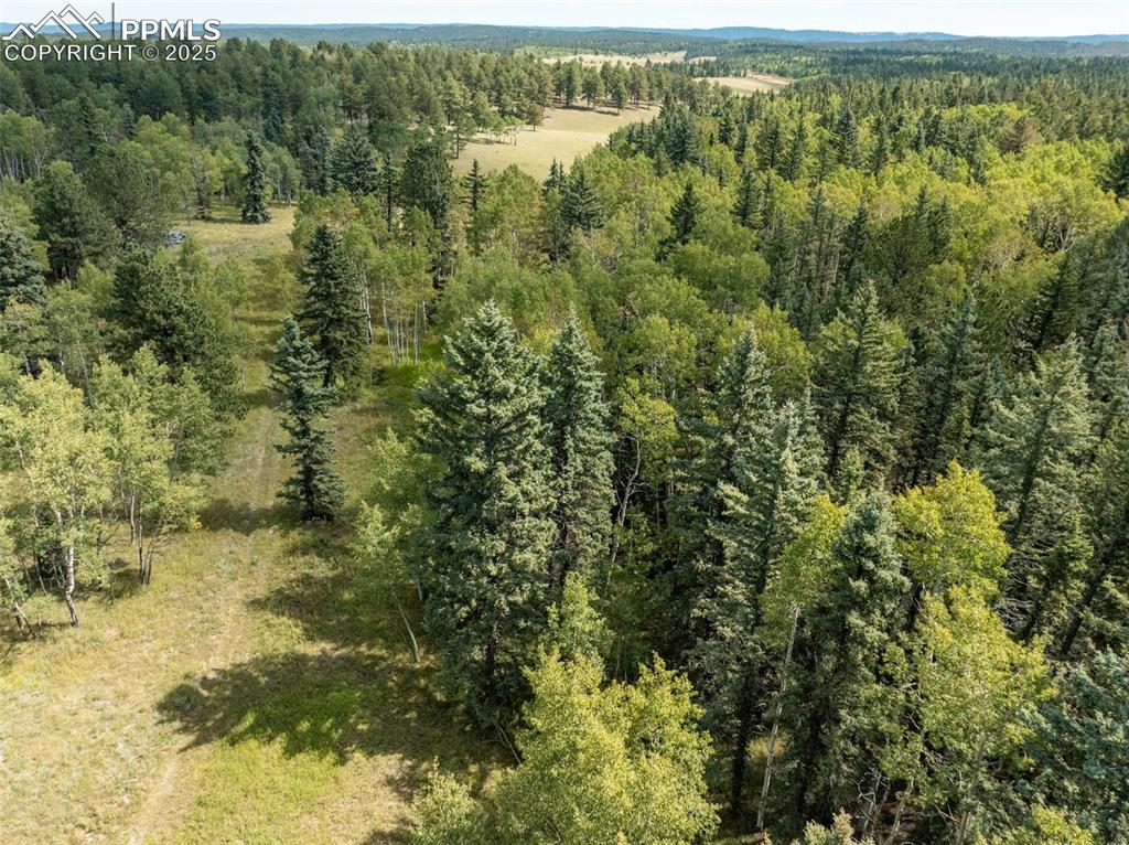284 County Road 511 Road Divide CO 80814