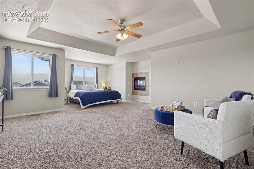 6598 Alliance Loop Colorado Springs CO 80925