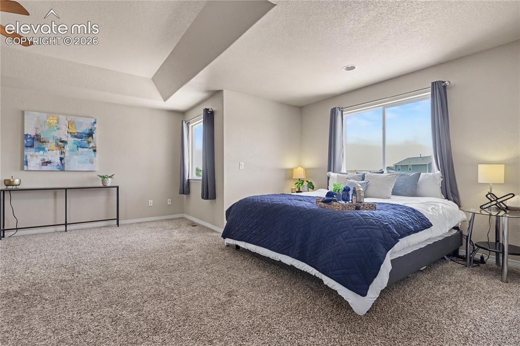 6598 Alliance Loop Colorado Springs CO 80925