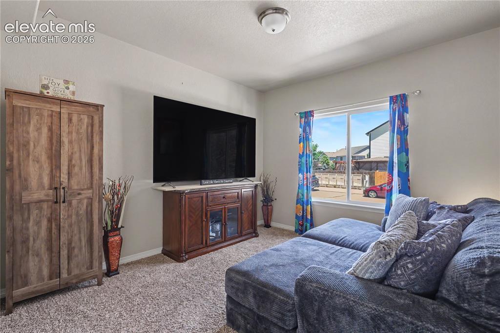 6598 Alliance Loop Colorado Springs CO 80925