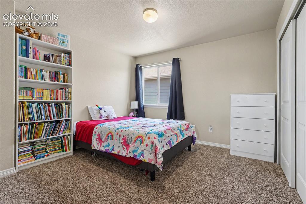 6598 Alliance Loop Colorado Springs CO 80925