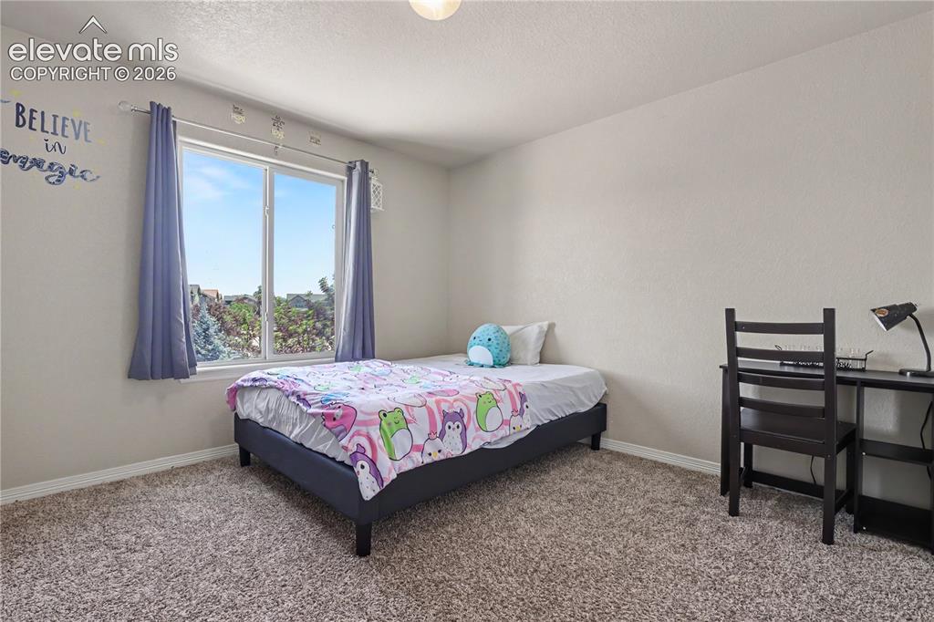 6598 Alliance Loop Colorado Springs CO 80925