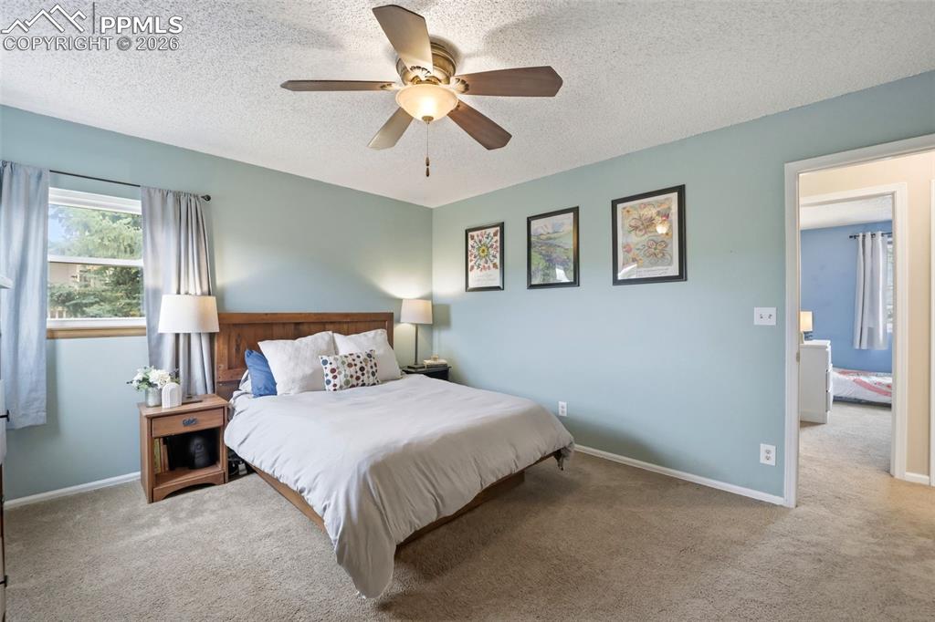 6732 Fredrick Drive Colorado Springs CO 80918
