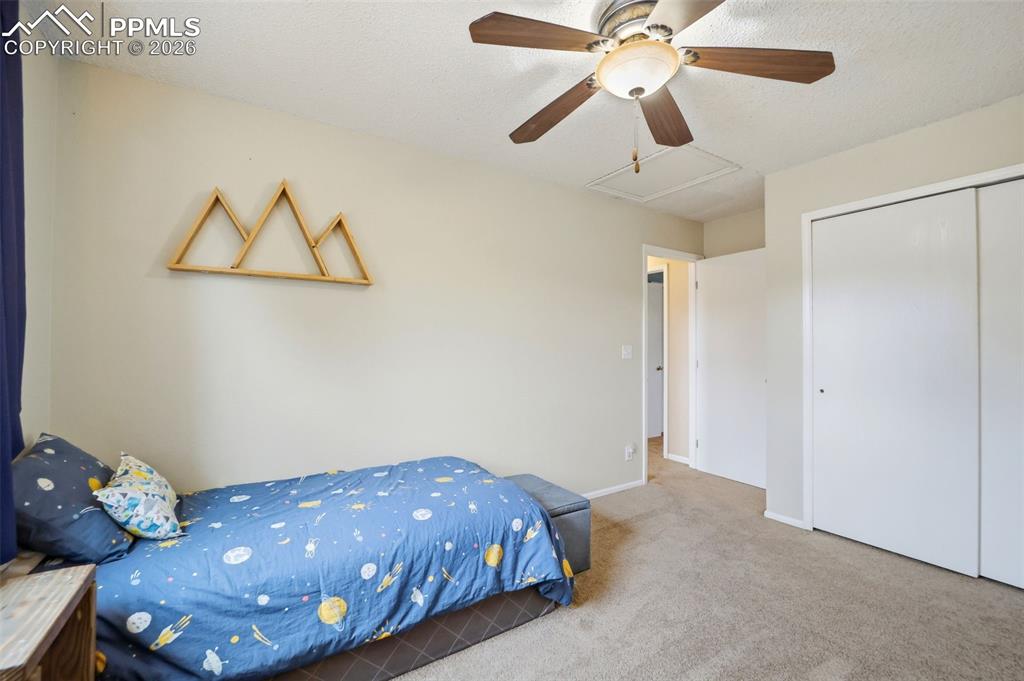 6732 Fredrick Drive Colorado Springs CO 80918