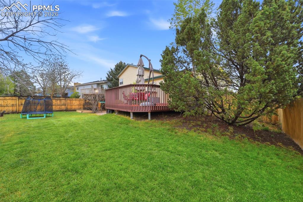 6732 Fredrick Drive Colorado Springs CO 80918