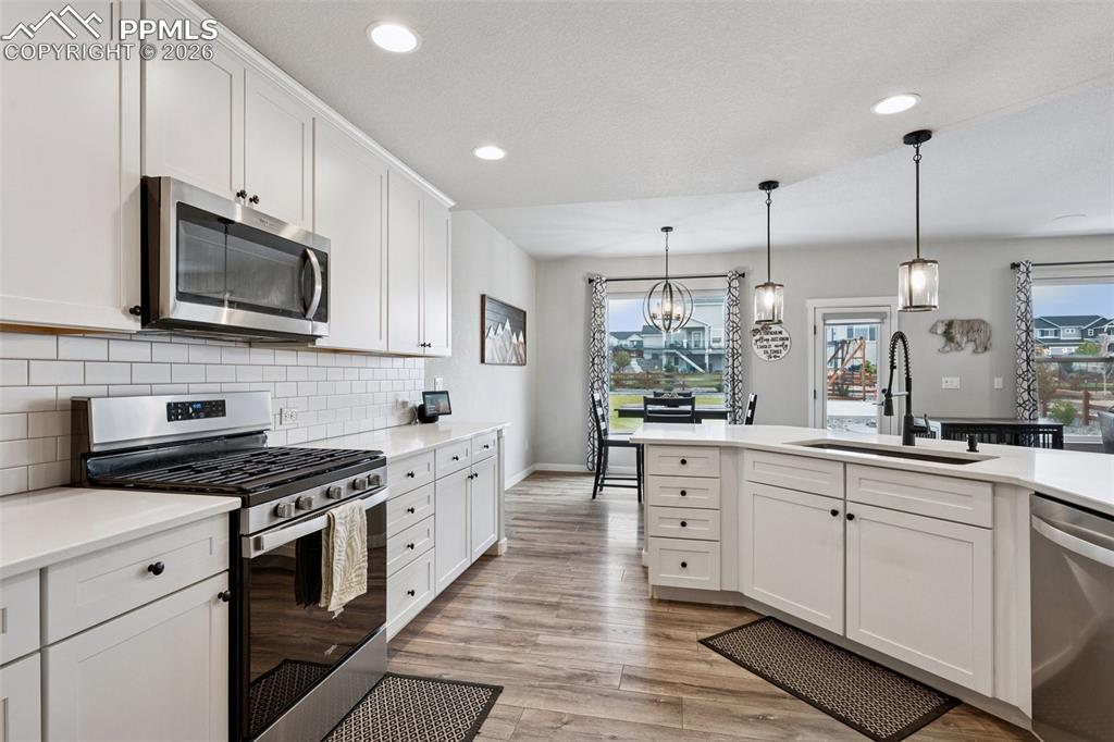 9887 Antelope Ravine Drive Colorado Springs CO 80908