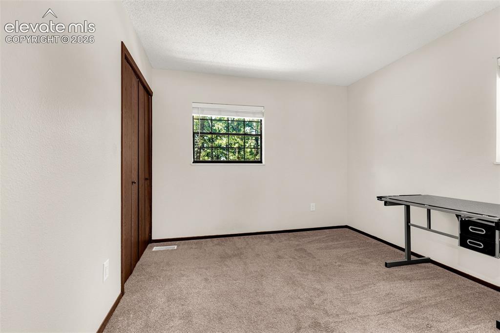 917 Centre Camino Woodland Park CO 80863