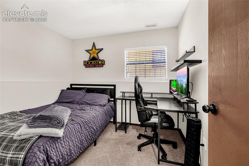 917 Centre Camino Woodland Park CO 80863