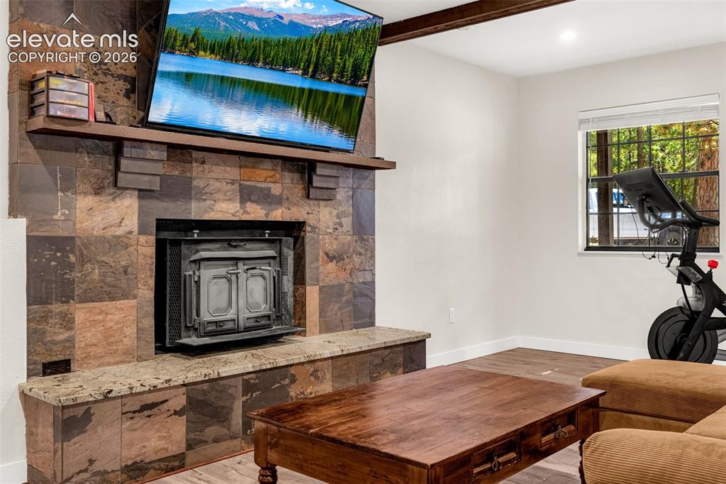 917 Centre Camino Woodland Park CO 80863