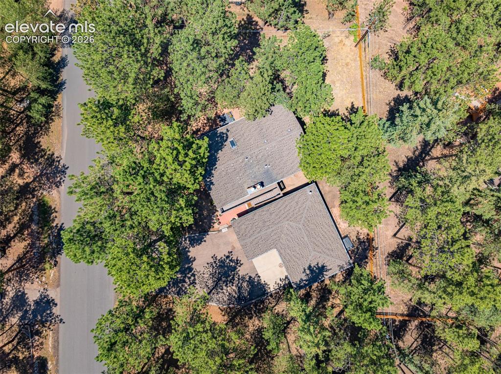 917 Centre Camino Woodland Park CO 80863