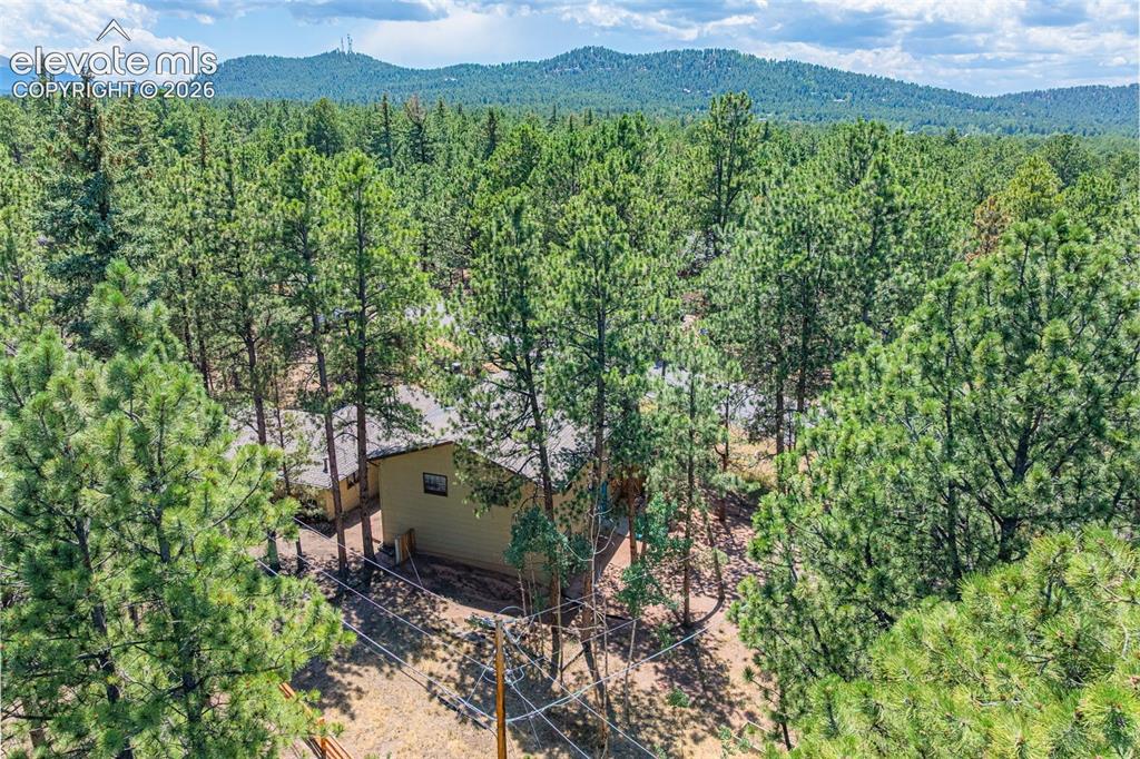 917 Centre Camino Woodland Park CO 80863