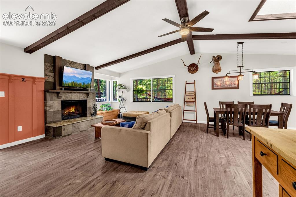 917 Centre Camino Woodland Park CO 80863