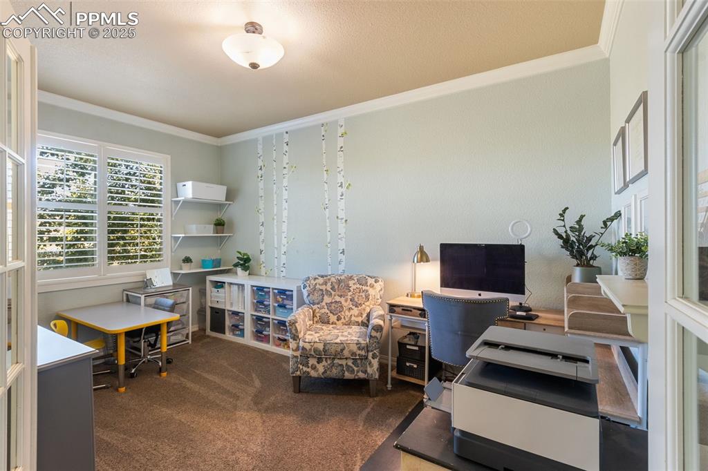 458 All Sky Drive Colorado Springs CO 80921