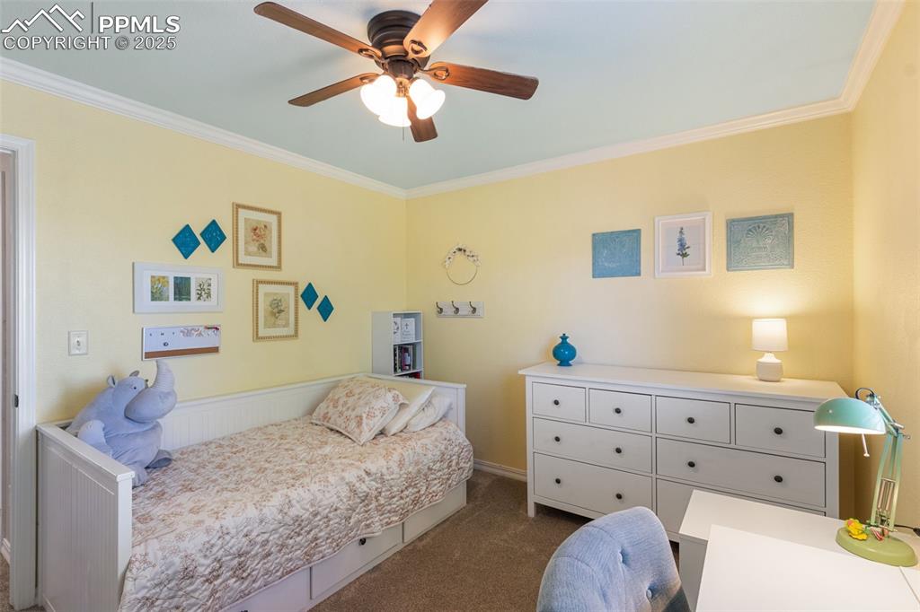 458 All Sky Drive Colorado Springs CO 80921