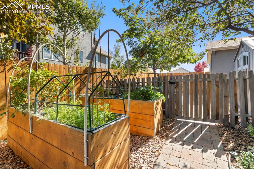 458 All Sky Drive Colorado Springs CO 80921