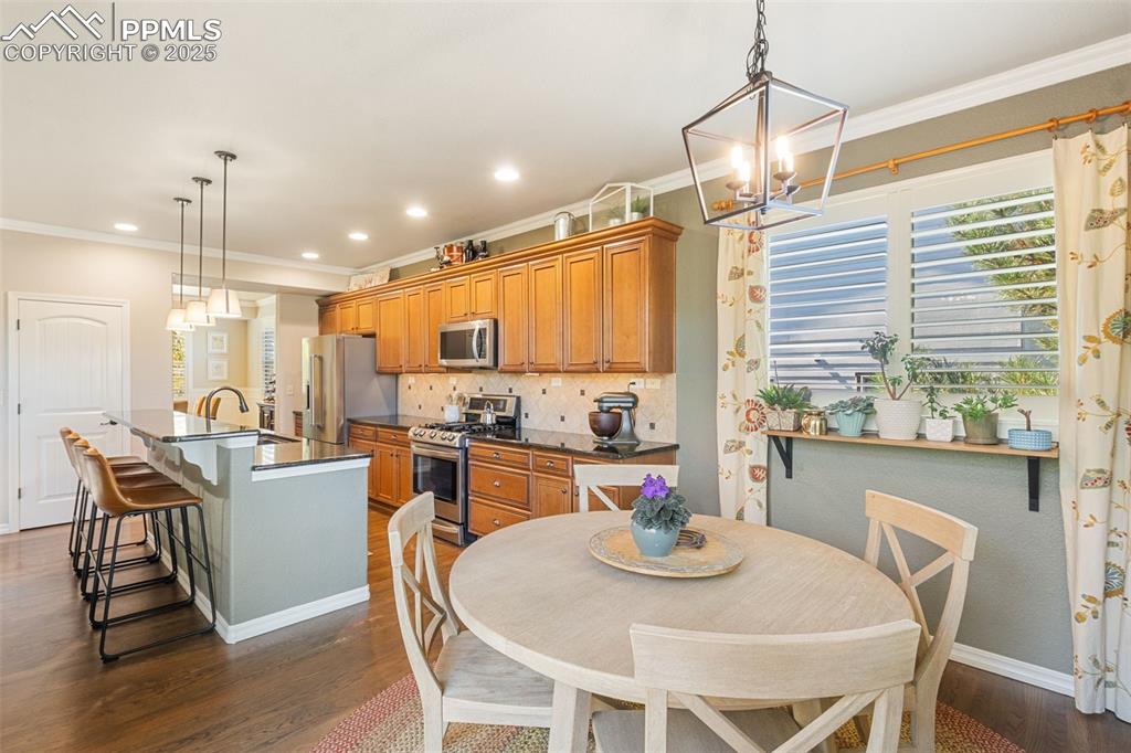 458 All Sky Drive Colorado Springs CO 80921