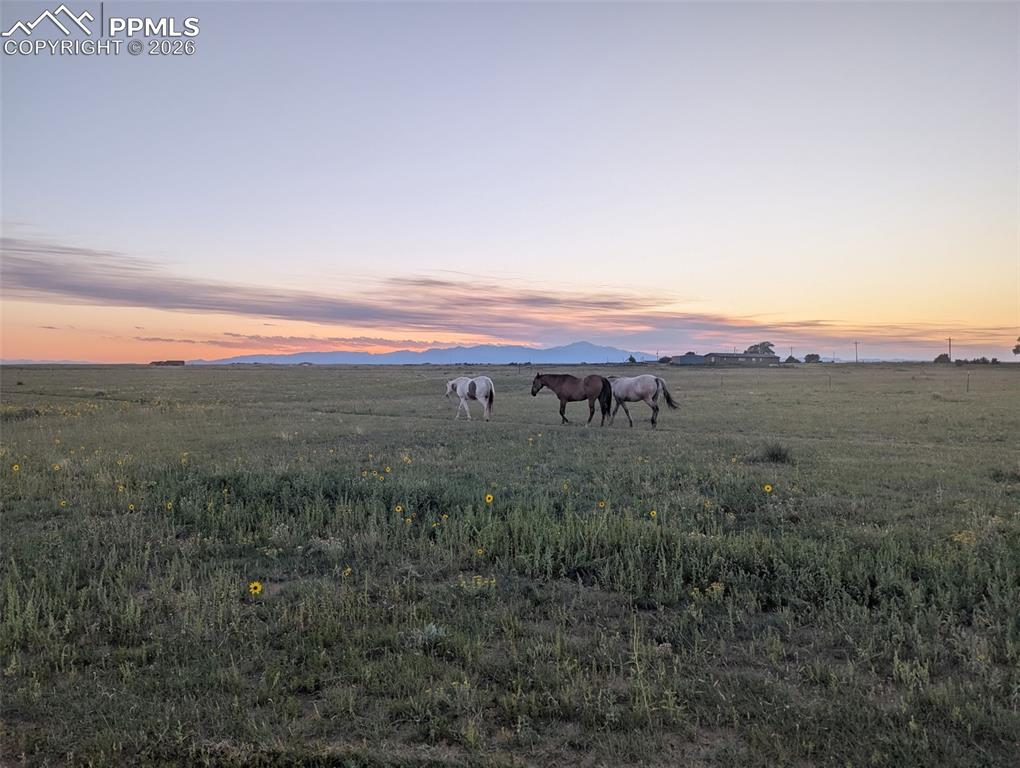 21825 Drennan Road Colorado Springs CO 80928