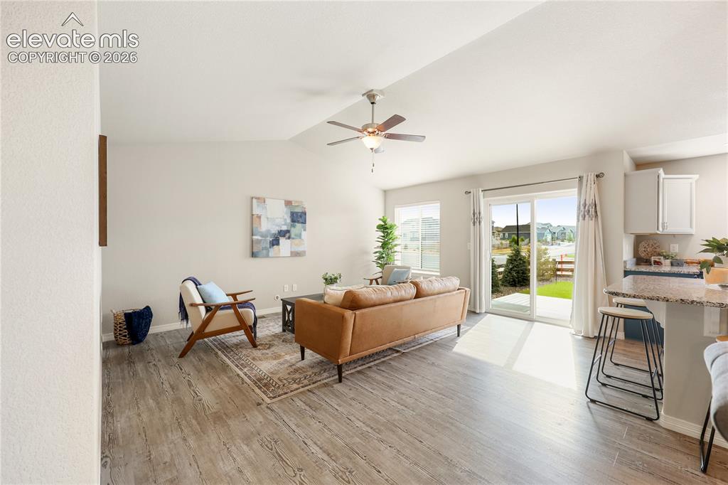9902 Emerald Vista Drive Peyton CO 80831