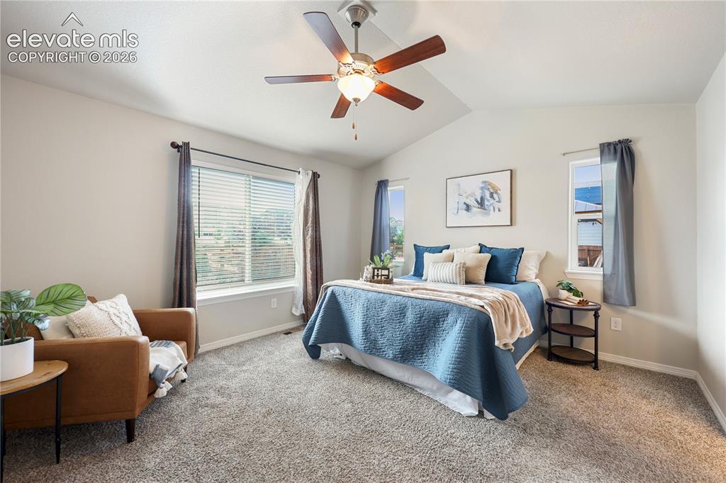 9902 Emerald Vista Drive Peyton CO 80831