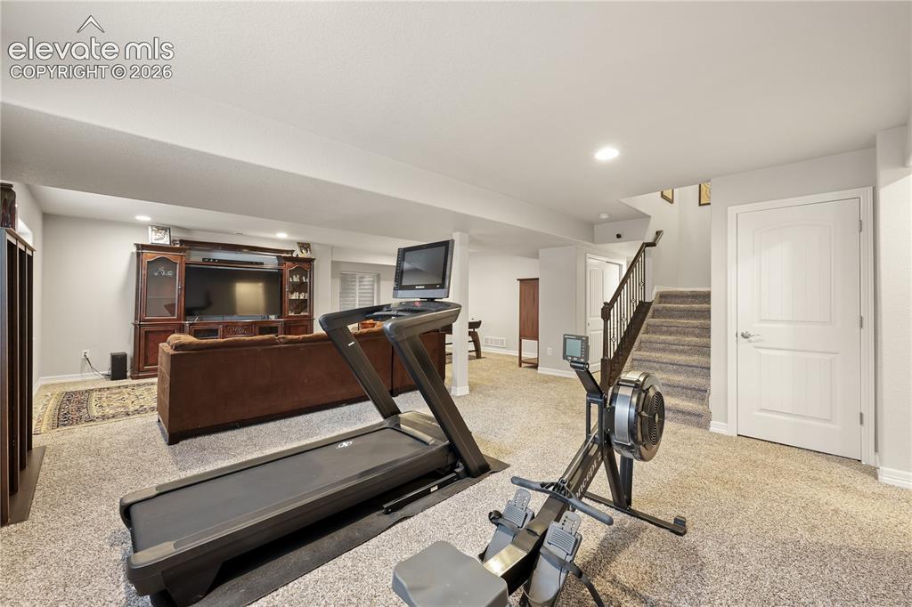 9902 Emerald Vista Drive Peyton CO 80831