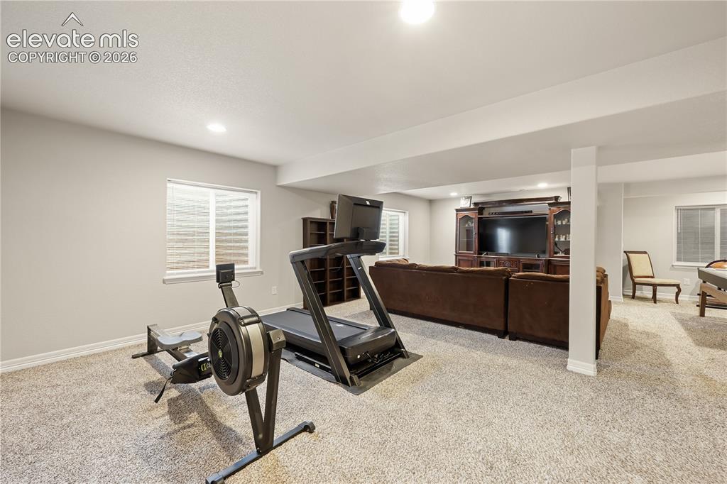 9902 Emerald Vista Drive Peyton CO 80831