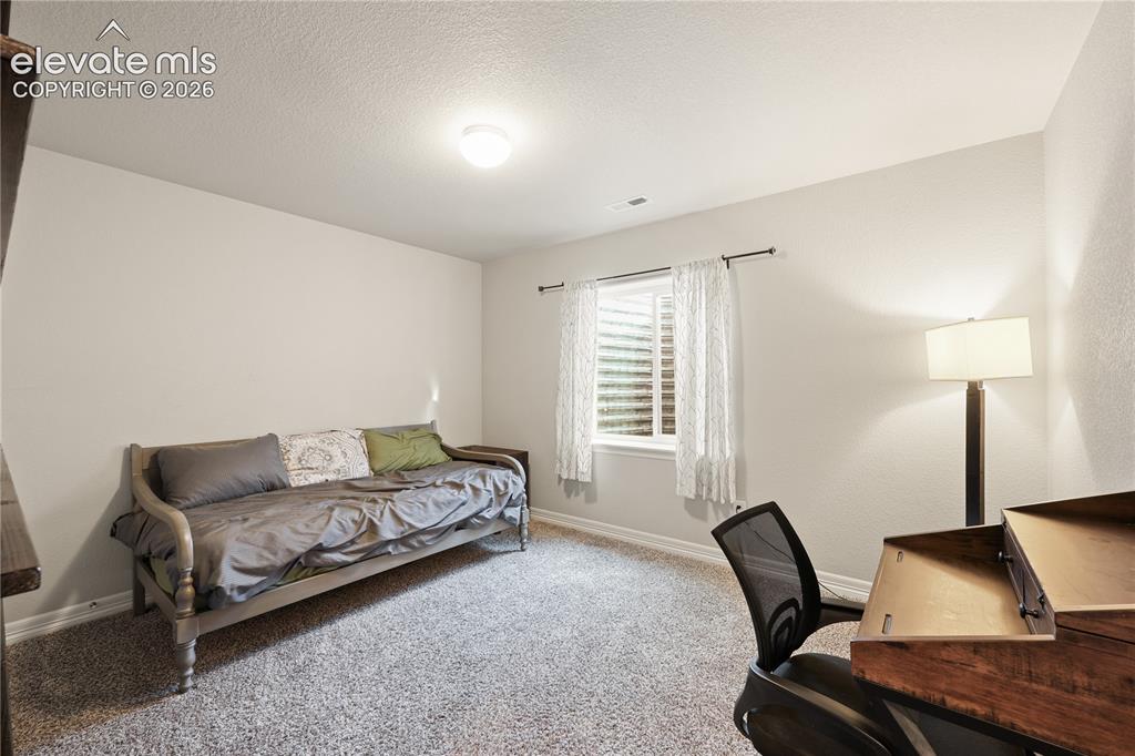 9902 Emerald Vista Drive Peyton CO 80831