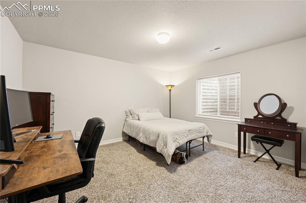 9902 Emerald Vista Drive Peyton CO 80831
