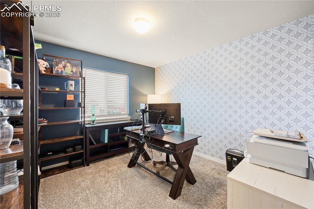 9902 Emerald Vista Drive Peyton CO 80831