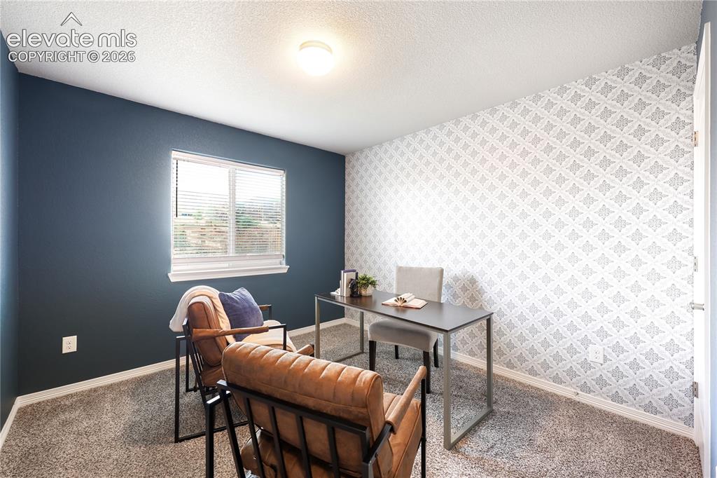9902 Emerald Vista Drive Peyton CO 80831