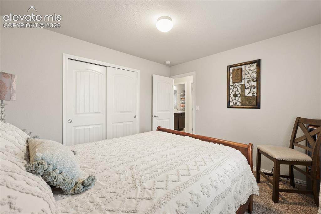 9902 Emerald Vista Drive Peyton CO 80831