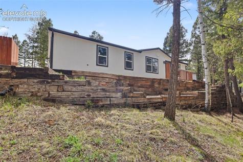 151 Banner Trail Florissant CO 80816