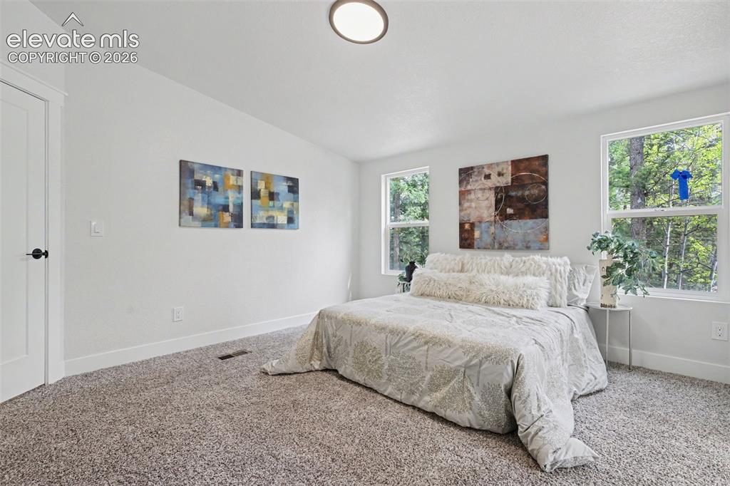 151 Banner Trail Florissant CO 80816