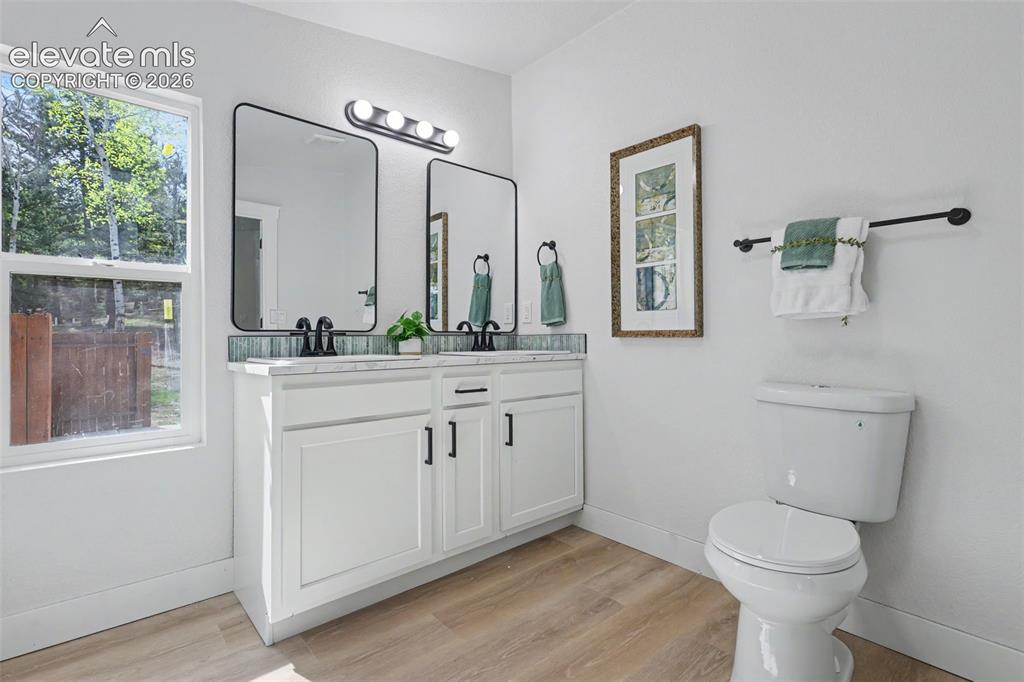 151 Banner Trail Florissant CO 80816