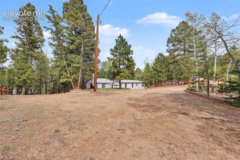 151 Banner Trail Florissant CO 80816