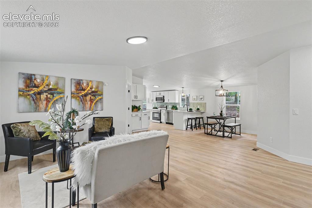 151 Banner Trail Florissant CO 80816