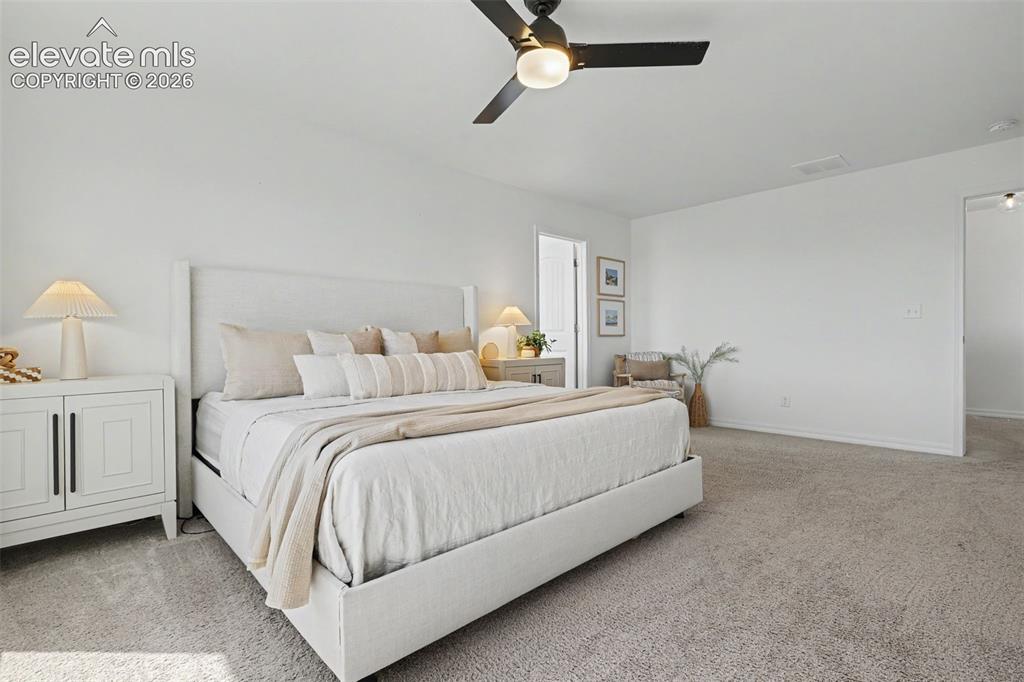 6519 Tumble Creek Drive Colorado Springs CO 80924