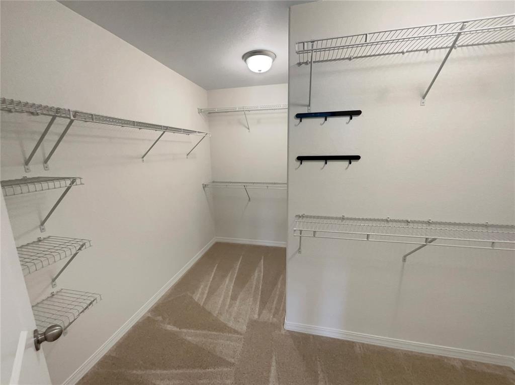 8699 Bynum Drive Colorado Springs CO 80908