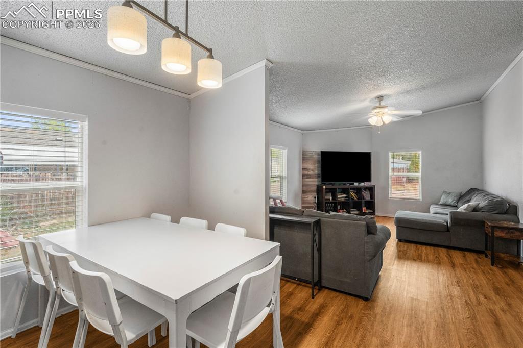 111 Mojave Way Fountain CO 80817