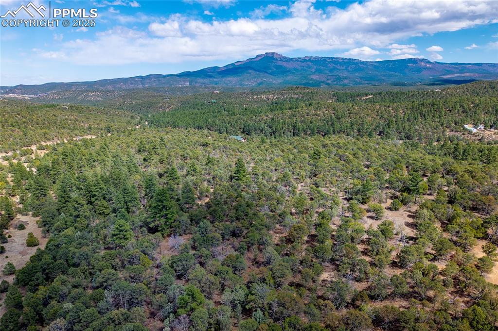 32790 Old Sopris Road Trinidad CO 81082