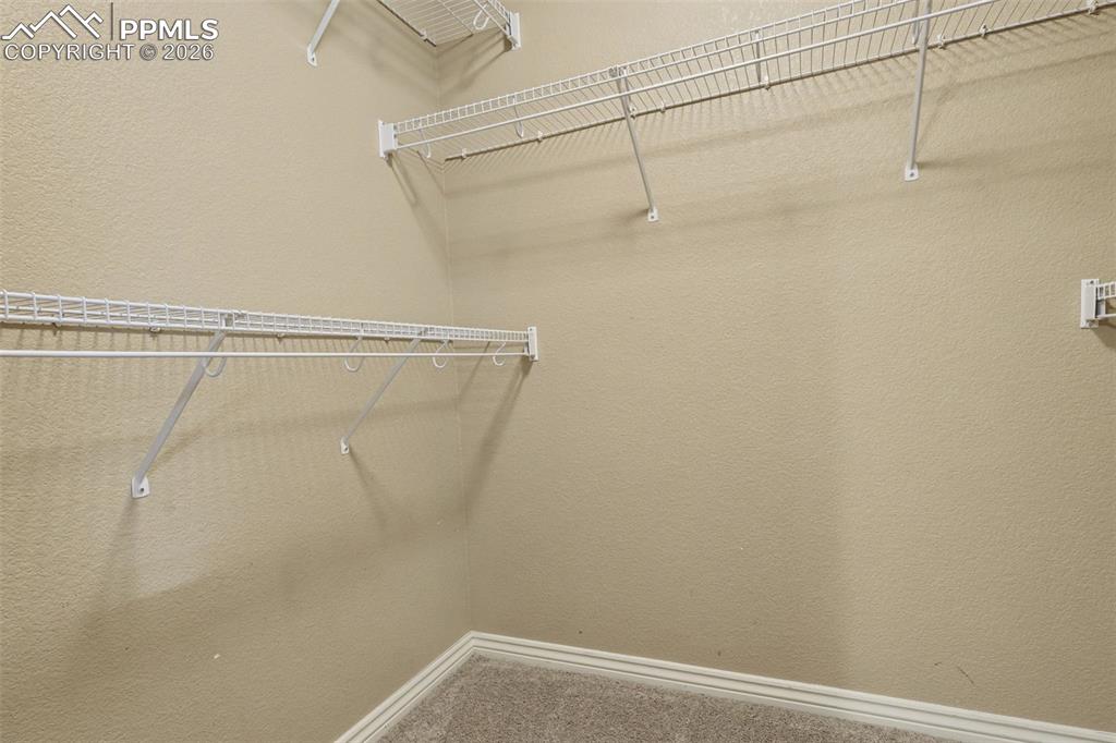 2703 Crooked Vine Court Colorado Springs CO 80921