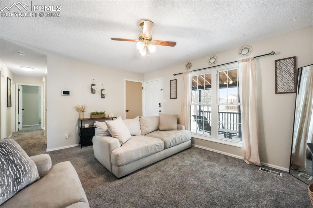 4651 Newton Drive Colorado Springs CO 80916