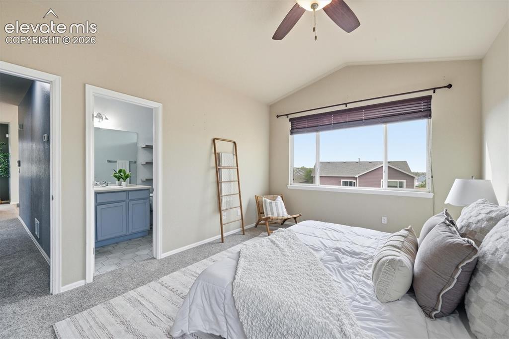 6553 Andretti Court Colorado Springs CO 80922