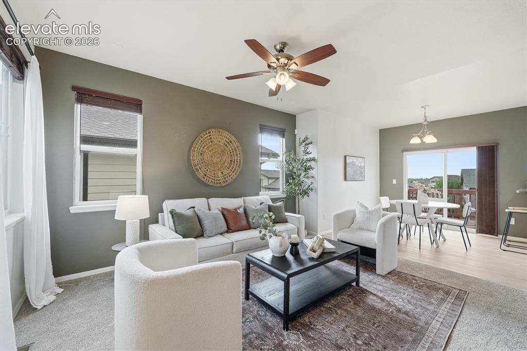 6553 Andretti Court Colorado Springs CO 80922