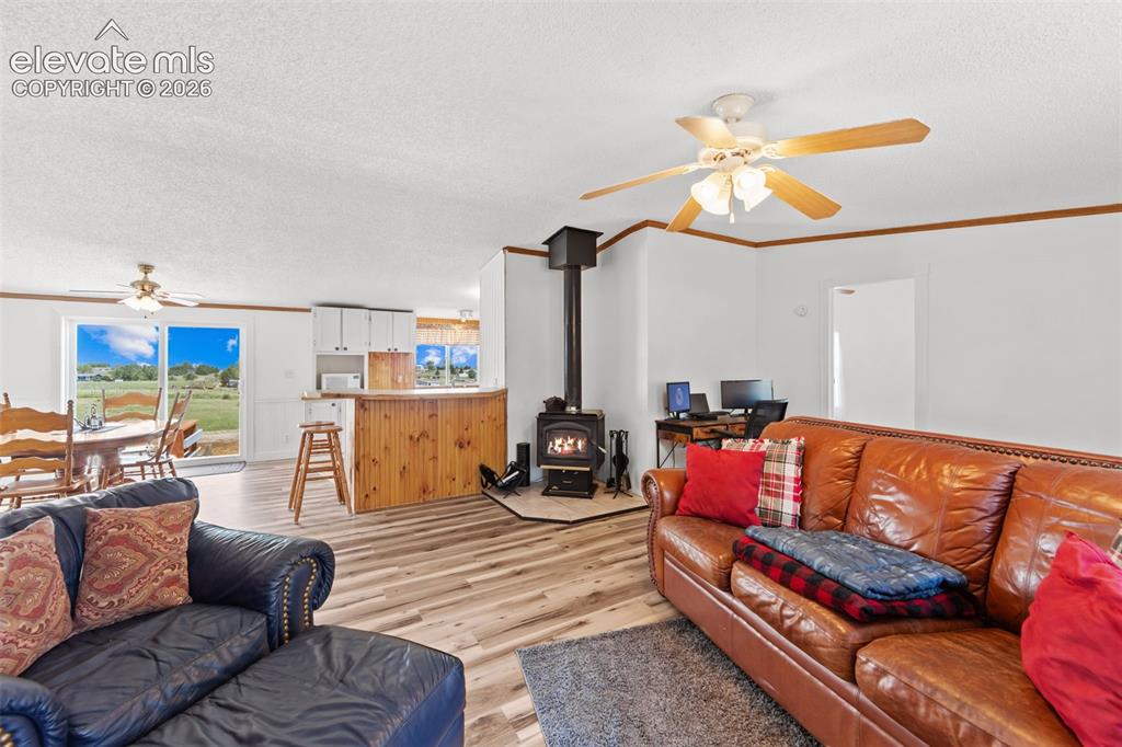 6245 Peerless Farms Road Peyton CO 80831