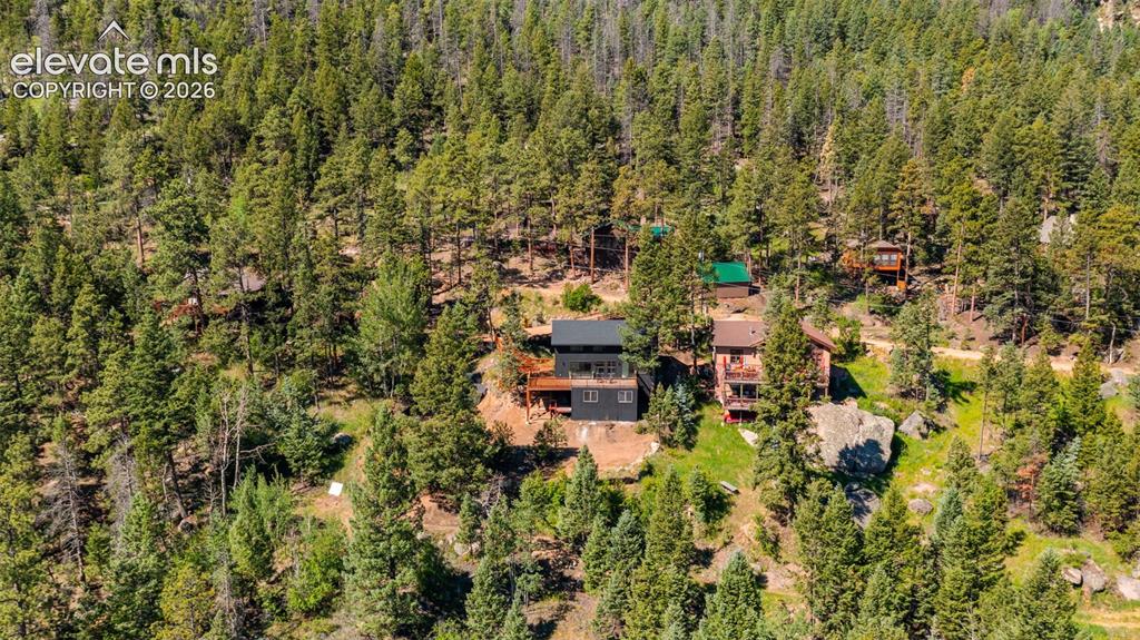 6645 Grant Street Green Mountain Falls CO 80819